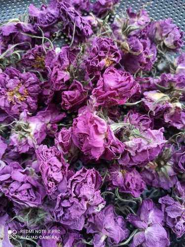 Pink Dried Rose Petals