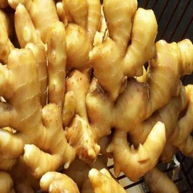 Healthy And Natural Organic Fresh Ginger Shelf Life: 3-6 Months