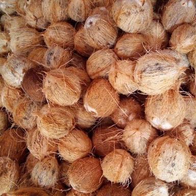  भूरा स्वस्थ और प्राकृतिक अर्ध भूसी नारियल 