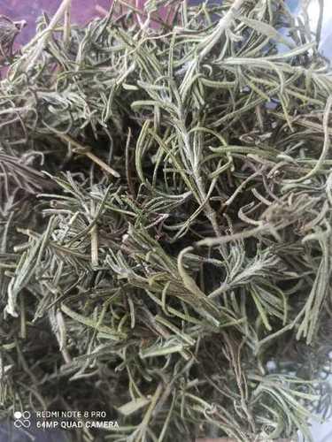 Rosemary Tea Size: Various Sizes Are Available