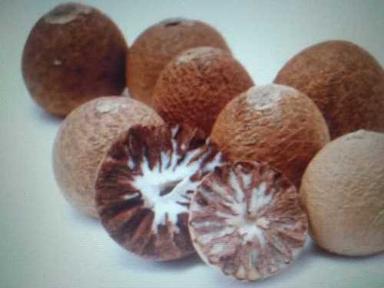 Brown Anti-Cavity Effect Betel Nut
