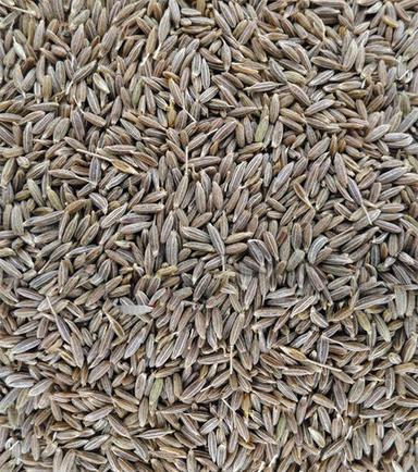Brown Cumin Seeds (Jeera) For Food Spices