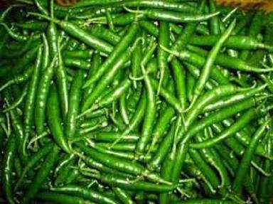 Natural Fresh Green Chilly