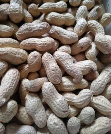 Brown Organic Dried Peanut In Shell