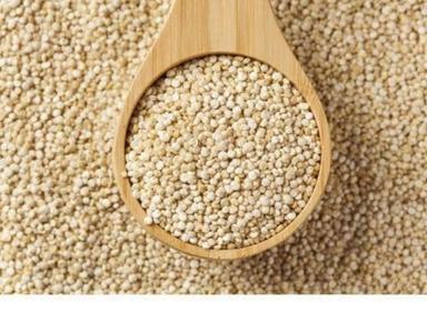 Organic White Quinoa Seeds Purity: 99.9%