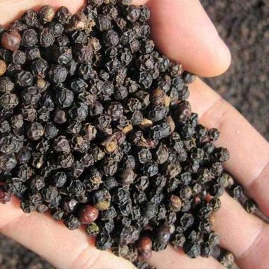 Healthy And Natural Organic Black Pepper Seeds Grade: Food Grade