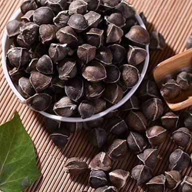 Herbal Product Moringa Oleifera Seed Dry Extract