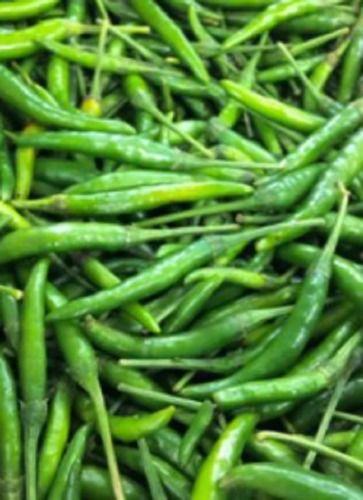 Cooked Fresh Green Chilli