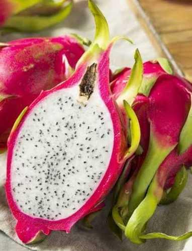 Organic Pink Dragon Fruit Origin: India