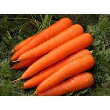 Cooked Fresh Red Carrot