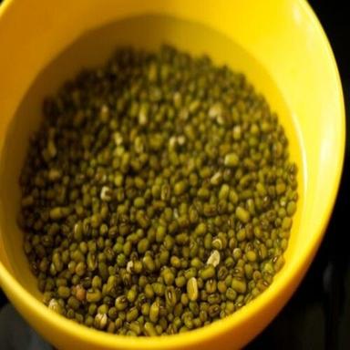 Healthy And Natural Organic Whole Green Moong Dal Grain Size: Standard