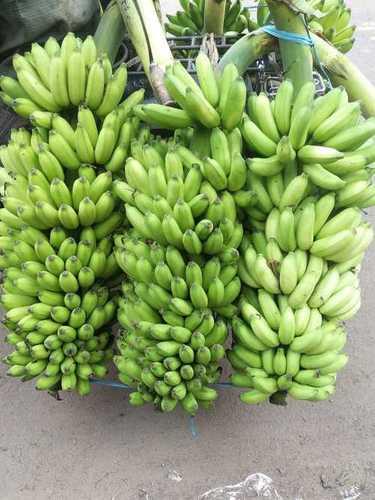 Organic Indian Origin Karpuram Bananas