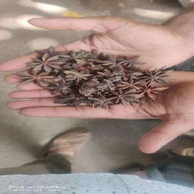 Brown Healthy And Natural Dried Star Anise
