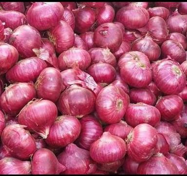 Round Red Fresh Organic Onion