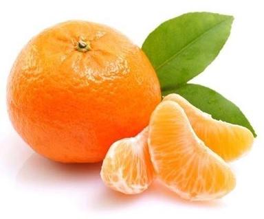 Round Organic Farm Fresh Orange