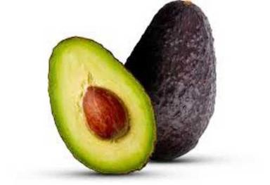 Fresh Organic Avocado Origin: Indian