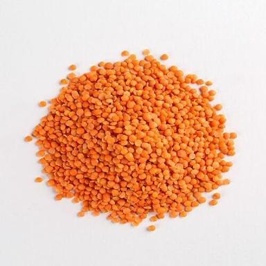 Healthy And Natural Organic Red Lentils Grain Size: Standard