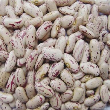 Light Red Healthy And Natural Organic Speckled Kidney Beans