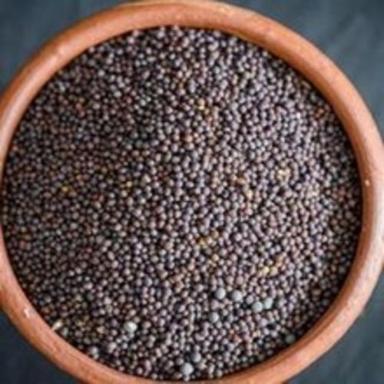Healthy And Natural Black Mustard Seeds Grade: Food Grade