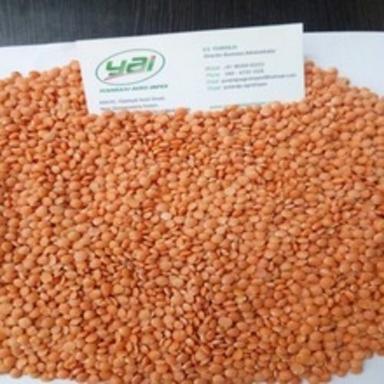 Healthy And Natural Masoor Dal Grain Size: Standard
