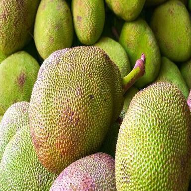 Healthy And Natural Fresh Jackfruit Shelf Life: 5-7 Days
