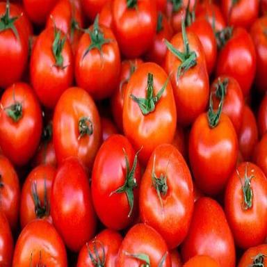 Round Healthy And Natural Fresh Red Tomato
