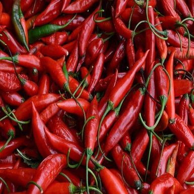 Red 100% Natural Chili Pepper