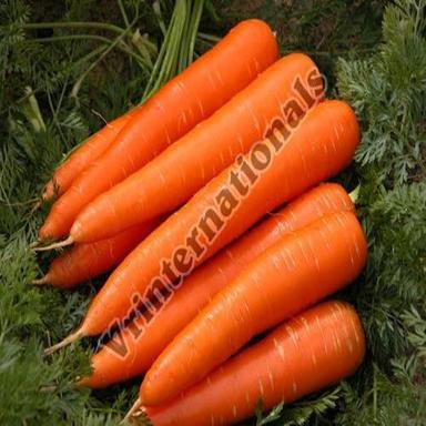 Healthy and Natural Fresh Orange Carrot