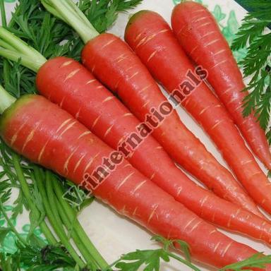 Healthy and Natural Fresh Red Carrot