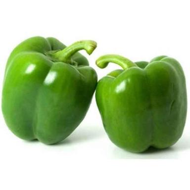 Healthy and Natural Organic Fresh Green Capsicum