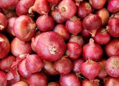 Round Organic Raw Red Onion