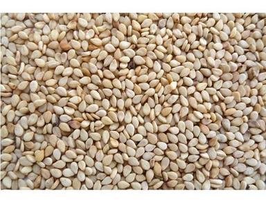 White Colour Sesame Seeds