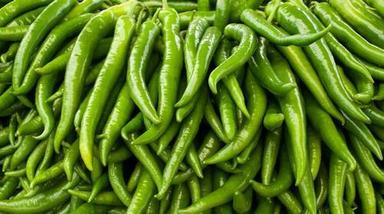 Fresh and Pure Green Chillies