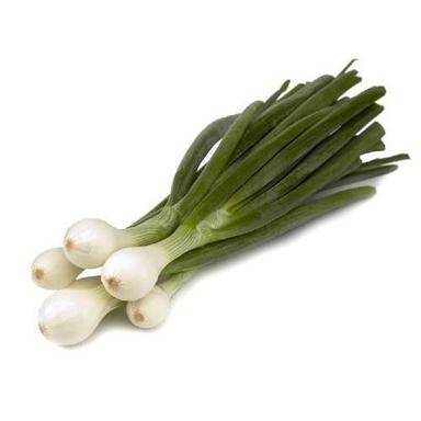 Automatic Healthy And Natural Fresh Spring Onion