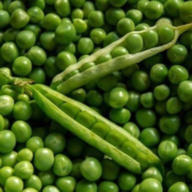 Healthy and Natural Fresh Green Peas