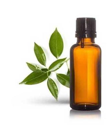 Light Yellow Camphor Oil Ingredients: Herbal Extract