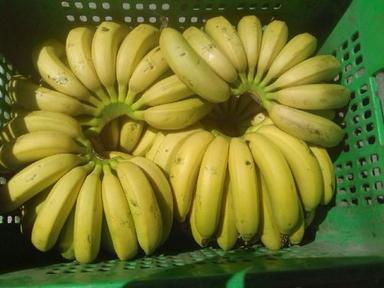 Healthy And Natural Organic Fresh Yellow Banana Origin: India