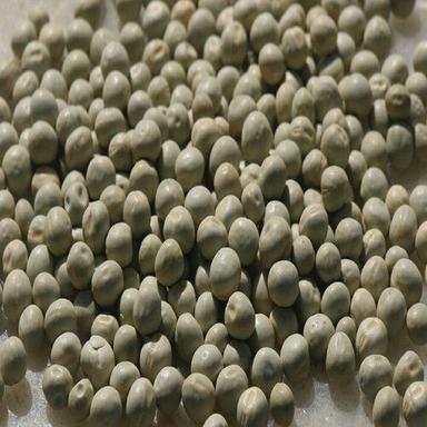 Healthy And Natural Gunwanti Dried Green Peas Grain Size: Standard