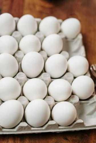 High Protein Fresh Eggs Egg Origin: Chicken