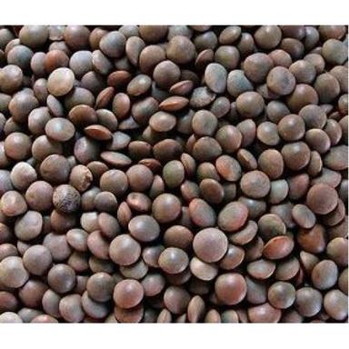 Healthy And Natural Organic Black Masoor Dal Grain Size: Standard