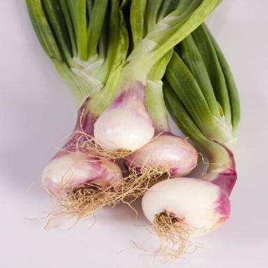 Stick Healthy And Natural Fresh Spring Onion