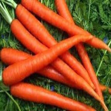 All Color Healthy And Natural Organic Fresh Red Carrot