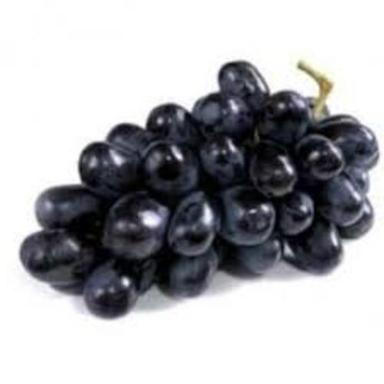 Healthy And Natural Organic Fresh Black Grapes Shelf Life: 7-10 Days