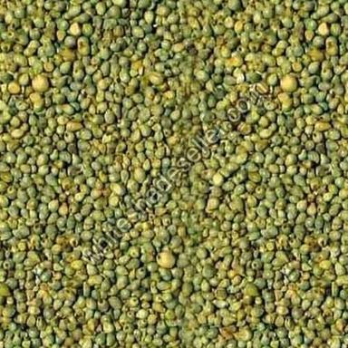 Organic Green Millet (Bajra) Moisture (%): 10%
