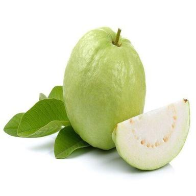 Healthy And Natural Fresh Green Guava Origin: India