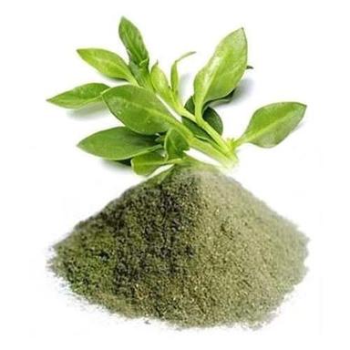 Herbal Kalmegh Andrographis Paniculata 40% Extract Powder Grade: A