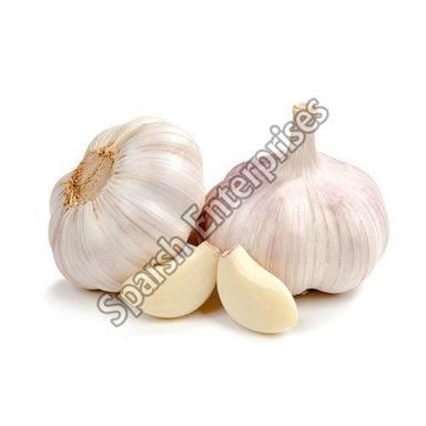Organic Fresh Garlic For Cooking Preserving Compound: Cool & Dry Places