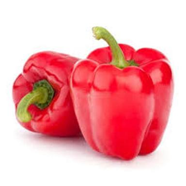 Healthy And Natural Organic Fresh Red Capsicum Shelf Life: 5-7 Days