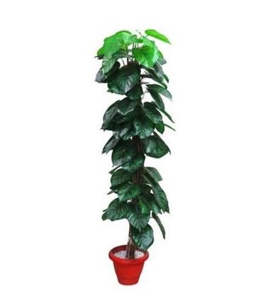 Durable Artificial Green Polyester Fabric Money Plant For Decoration