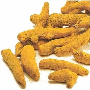 Yellow Turmeric Finger Best For Special Dishes Cooking